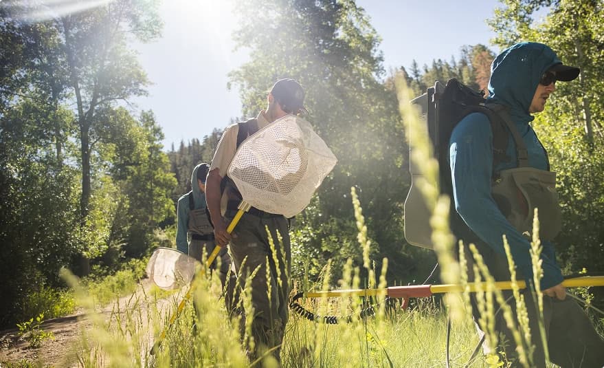 Group of people carrying nets and gear walking through a sunlit forest trail.